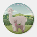 Search for drama magnets Llamas