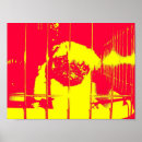 Search for pugs posters Animal
