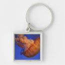 Search for jellyfish key rings Animals