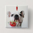 Search for looking up badges Baby animals