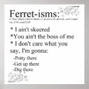 Search for ferret art posters Pet