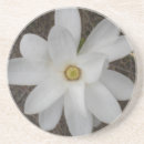 Search for pure coasters Floral