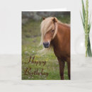 Search for foal birthday cards Pony