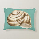 Search for shell decor Nature
