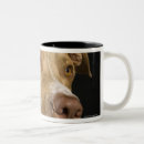 Search for bull animal mugs Pets