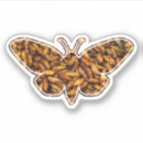 Search for insect silhouette stickers Bug