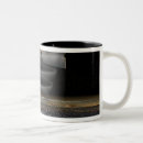 Search for reconnaissance mugs Science