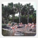 Search for flamingoes stickers Florida