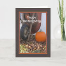 Search for wheelbarrows cards Harvest