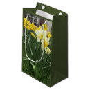 Search for daffodil gift bags Easter