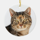 Search for creature pet supplies White