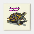 Search for tortoise magnets Turtle