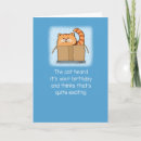 Search for cat in box cards Kitty