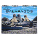 Search for galapagos calendars Iguana