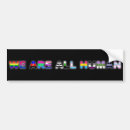Search for lesbian pride flag bumper stickers Queer