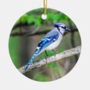 Search for blue bird christmas tree decorations Birdwatcher