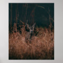 Search for wildlife photography posters Landscape