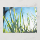 Search for blade postcards Grass