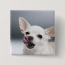 Search for lick badges Animal