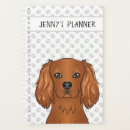 Search for cavalier king charles spaniel office supplies Animal