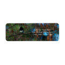 Search for birds on a branch return address labels Wildlife