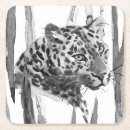 Search for big cat coasters Animal