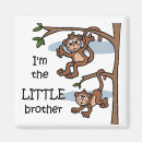 Search for big brother magnets Little