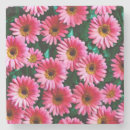 Search for gerbera coasters Pink