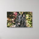 Search for black hair canvas prints Dog