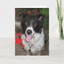Search for furry valentines day cards Dog