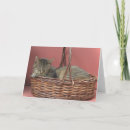 Search for kitty cards Adorable