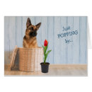 Search for funny german shepherd cards Alsatian