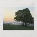 Search for tree postcards Mountains