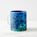 Search for shoals mugs Fish
