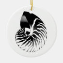 Search for shells christmas tree decorations Sea shell