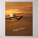 Search for carp posters Waves
