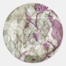 Search for butterfly silhouette stickers Animals