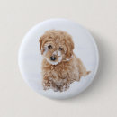 Search for goldendoodle badges Cute