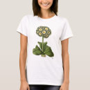 Search for primula Steampunk