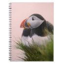 Search for puffin notebooks Fratercula