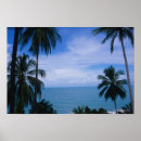 Search for natural art Travel