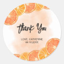 Search for citrus fruit stickers Orange slice