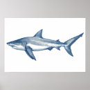 Search for vintage wildlife drawing posters Illustration