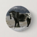 Search for appaloosas badges Snow