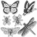 Search for flying bugs stickers Dragonfly
