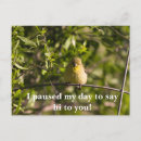 Search for encouragement cards Bible verse