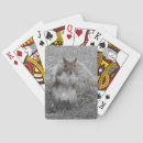 Search for squirrel playing cards Rodent