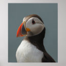 Search for puffin art Nature