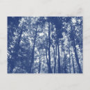 Search for effect postcards Leaves
