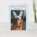 Search for golden retriever easter cards Pet
